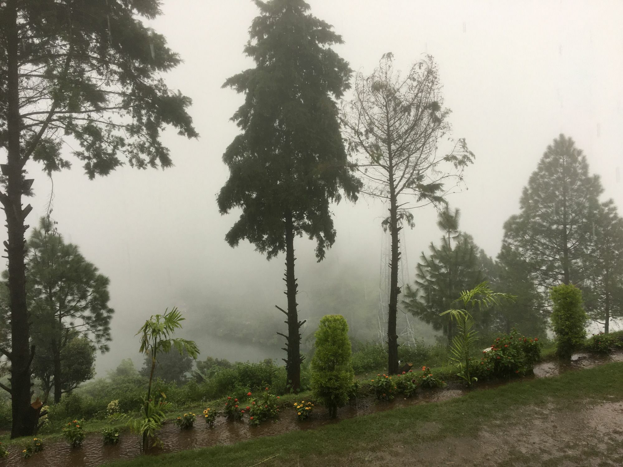 Nainital Adventure Park & Resort Eksteriør bilde
